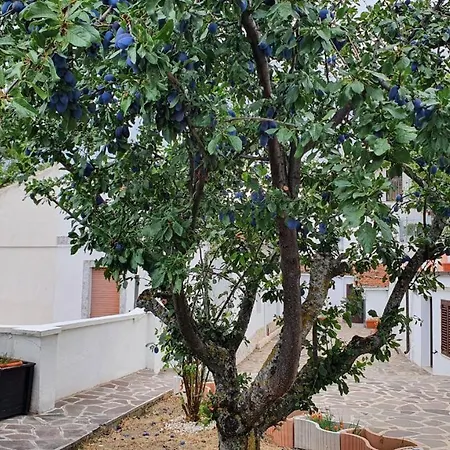 Villetta Indipendente Con Panorama Da Mozzafiato *